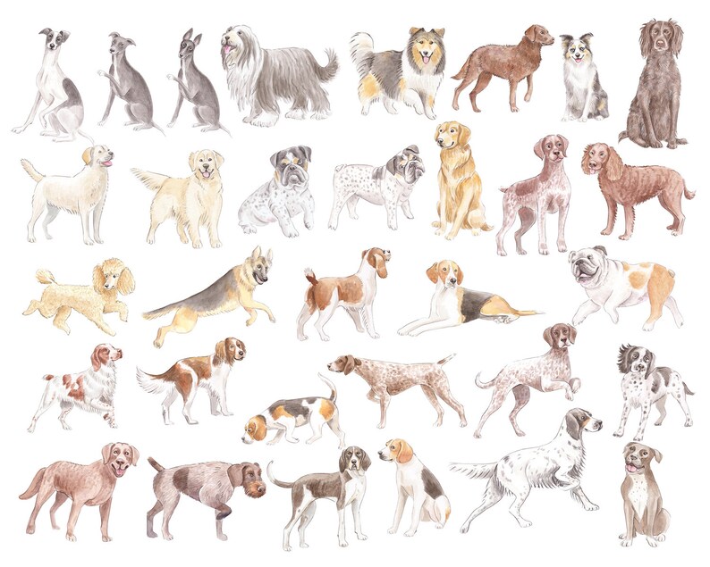 May include: Watercolor painting of various dog breeds, including a poodle, a bulldog, a German Shepherd, a golden retriever, a border collie, and many more. The dogs are depicted in various poses, some sitting, some standing, and some running.