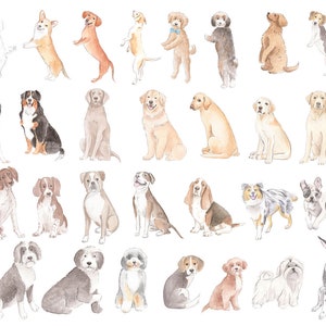 May include: Watercolor painting of 30 different dog breeds in various poses. The dogs are all depicted in a realistic style, with attention to detail in their fur, eyes, and expressions.