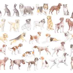 May include: Watercolor illustration of various dog breeds, including a Greyhound, Collie, Bulldog, and Labrador. The dogs are depicted in different poses and colors, such as brown, white, black, and tan. The artwork has a classic, artistic style.