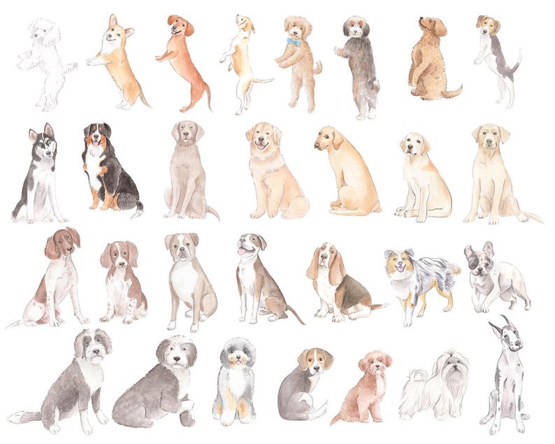 May include: Watercolor illustration featuring a variety of dog breeds in different poses. The dogs are depicted in shades of brown, tan, black, and white, with some wearing bows. The artwork has a soft, artistic style.