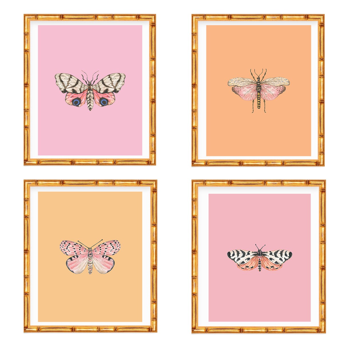 Four Art Prints Chinoiserie Butterfly and Moth on Pink and Orange // Nursery Decor // Girls Room // Pink Art // Grand Millennial // Preppy - Etsy