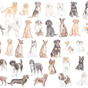 May include: Watercolor illustration of various dog breeds, including a beagle, golden retriever, poodle, and husky. The dogs are depicted in different poses and colors, set against a white background. The artwork showcases a variety of dog breeds.