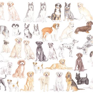 May include: Watercolor illustration featuring a variety of dog breeds, including Labradors, Huskies, and Dachshunds. The dogs are depicted in various poses, with a soft, artistic style. The artwork showcases a range of colors and textures, perfect for dog lovers.
