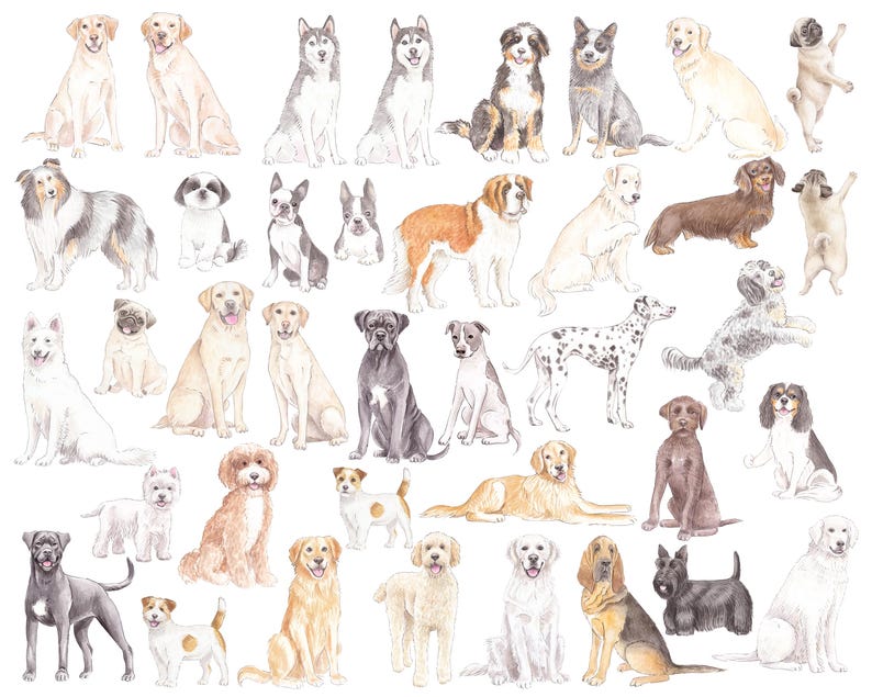 May include: Watercolor illustration featuring a variety of dog breeds, including Labradors, Huskies, and Dachshunds. The dogs are depicted in various poses, with a soft, artistic style. The artwork showcases a range of colors and textures, perfect for dog lovers.