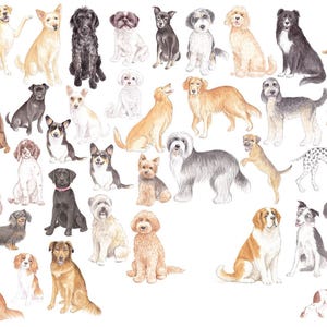 May include: Watercolor illustration featuring a variety of dog breeds in different poses. The dogs are depicted in various colors, including tan, black, white, and brown. The image showcases a range of sizes and fur types, from short-haired to long-haired.