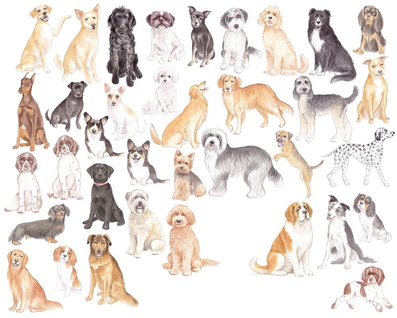 May include: Watercolor illustration featuring a variety of dog breeds in different poses. The dogs are depicted in various colors, including tan, black, white, and brown. The image showcases a range of sizes and fur types, from short-haired to long-haired.