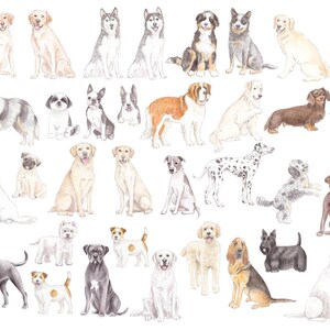 May include: A watercolor illustration of a variety of dog breeds, including a pug, a dachshund, a bloodhound, a golden retriever, a husky, a chihuahua, a terrier, a sheepdog, and a poodle. The dogs are all depicted in a playful and whimsical style.