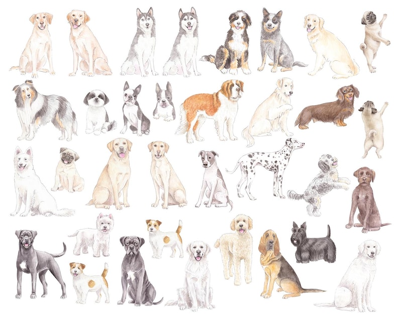 May include: A watercolor illustration of a variety of dog breeds, including a pug, a dachshund, a bloodhound, a golden retriever, a husky, a chihuahua, a terrier, a sheepdog, and a poodle. The dogs are all depicted in a playful and whimsical style.