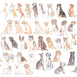 May include: Watercolor illustration featuring a variety of dog breeds in different poses. The dogs are depicted in shades of brown, white, black, and gray, with some wearing collars. The artwork has a soft, artistic style.