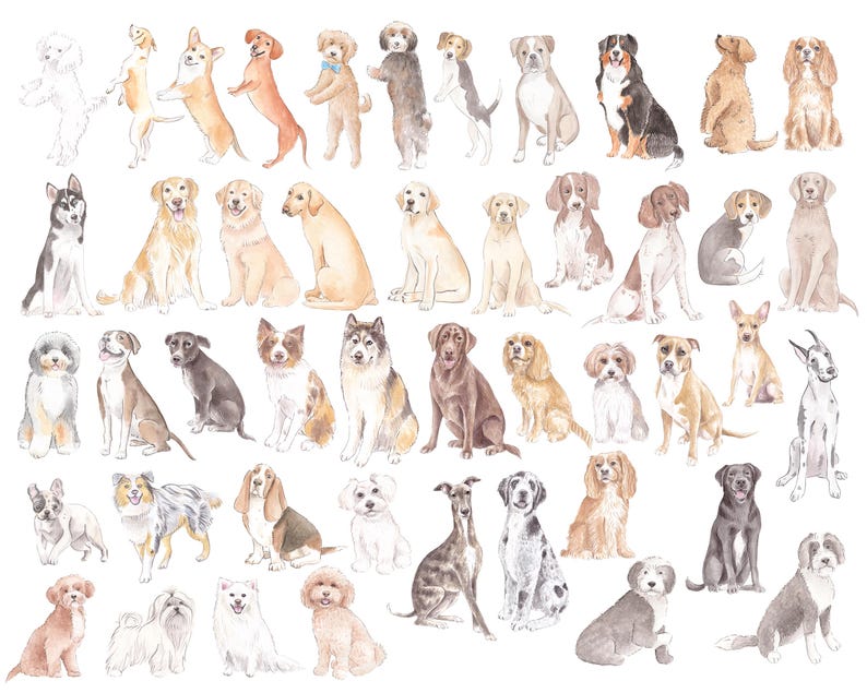 May include: Watercolor illustration featuring a variety of dog breeds in different poses. The dogs are depicted in shades of brown, white, black, and gray, with some wearing collars. The artwork has a soft, artistic style.