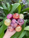 Handmade wine stopper. Beautiful real flowers. Mother’s Day. Gift for employer & employees. One of a kind gift for wedding guests.