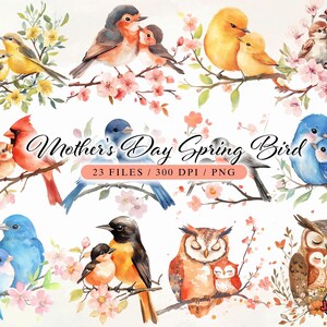Mother's Day Spring Bird Png clipart, Birds Clipart, Spring Birds Clipart Bundle, Birds On Branch Clipart, Mother bird, Instant Download