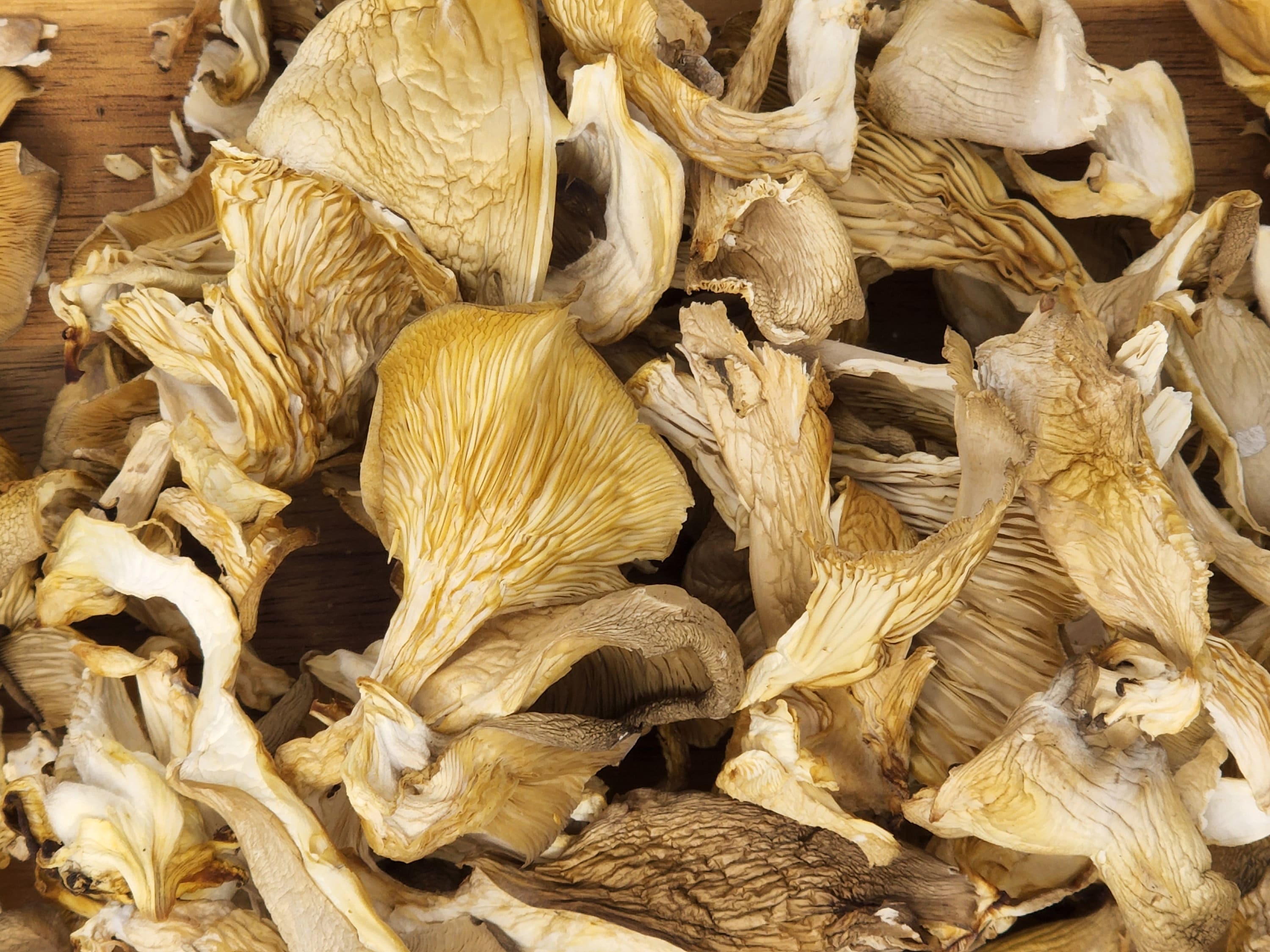Sun Dried Oyster Mushrooms, Vitamin D Boosted, Organically Grown in the