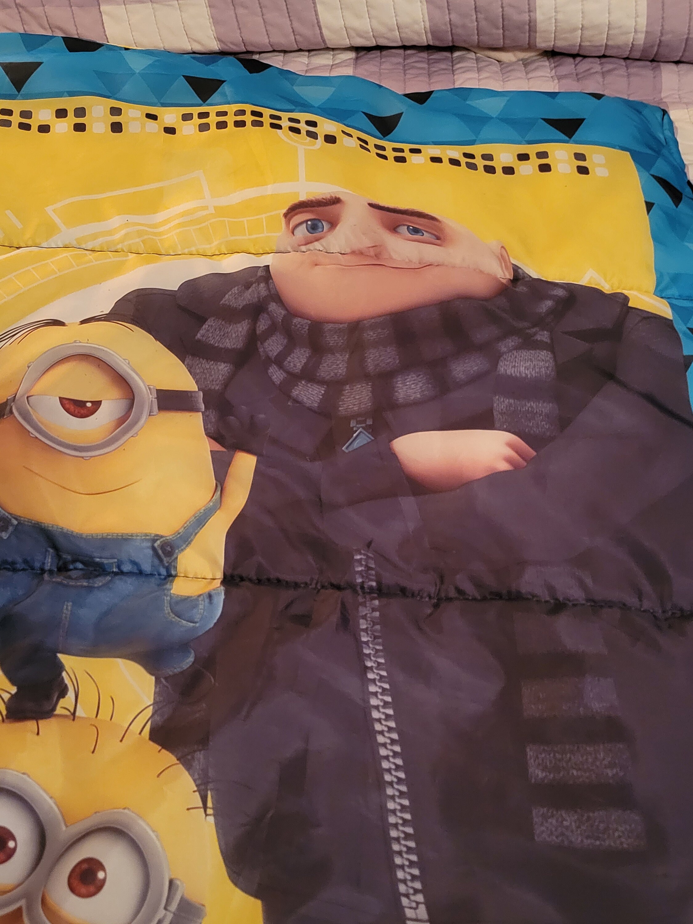 Minion top sleeping bag