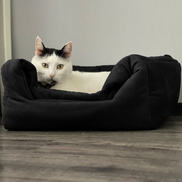 Canapé convertible pour chat, Caves et lits pour chat, Lits pour chat, Nichoirs pour animal de compagnie, Nichoir 3 en 1, meubles pour chat, Accessoires pour chat, Lit confortable pour chat