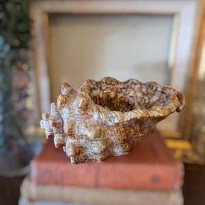 May include: A decorative seashell-shaped bowl in shades of brown and tan, with a textured surface. The bowl is resting on a stack of books with orange and cream-colored covers. The background includes a blurred gold-framed picture.