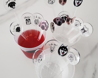 May include: Clear plastic drink stirrers with dog and cat faces and phrases like "Cheers!" and "Drink Me!". One cup contains a red liquid. The stirrers are arranged in clear plastic cups, creating a playful and decorative theme.