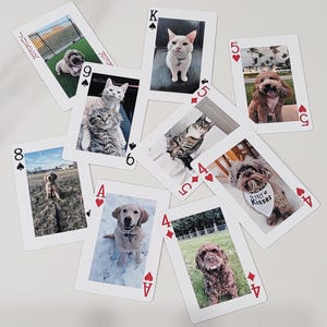 Puede incluir: Un conjunto de cartas de juego con fotos de gatos y perros. Las cartas están dispuestas en un patrón disperso, con varios palos y números visibles. Algunas cartas tienen texto, incluyendo "FREE KISSES" en un pañuelo de perro.