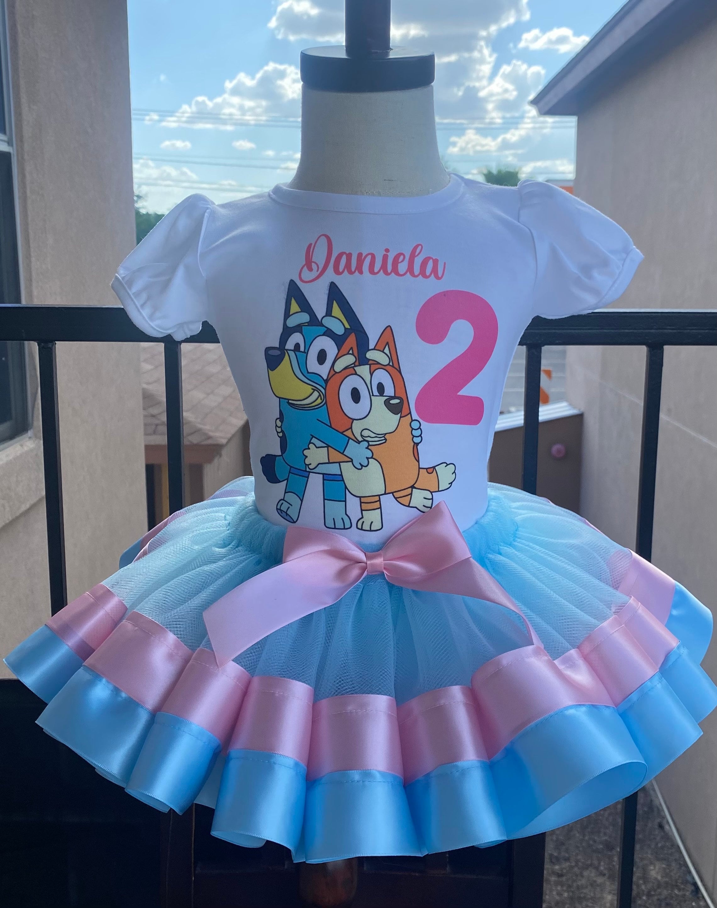 Bluey Tutu Outfit, Dog Birthday Outfit