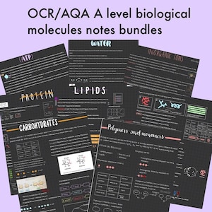 OCR/AQA a level biology notes biological molecules