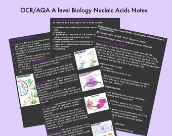 AQA/OCR A level biology Nucleic acid notes for guaranteed exam success