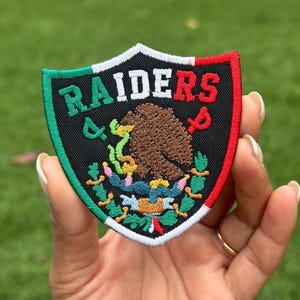 Puede incluir: Parche bordado con forma de escudo, con la palabra "RAIDERS" en verde y rojo, y un emblema central con un águila marrón. El parche tiene un fondo negro con bordes verdes, blancos y rojos.