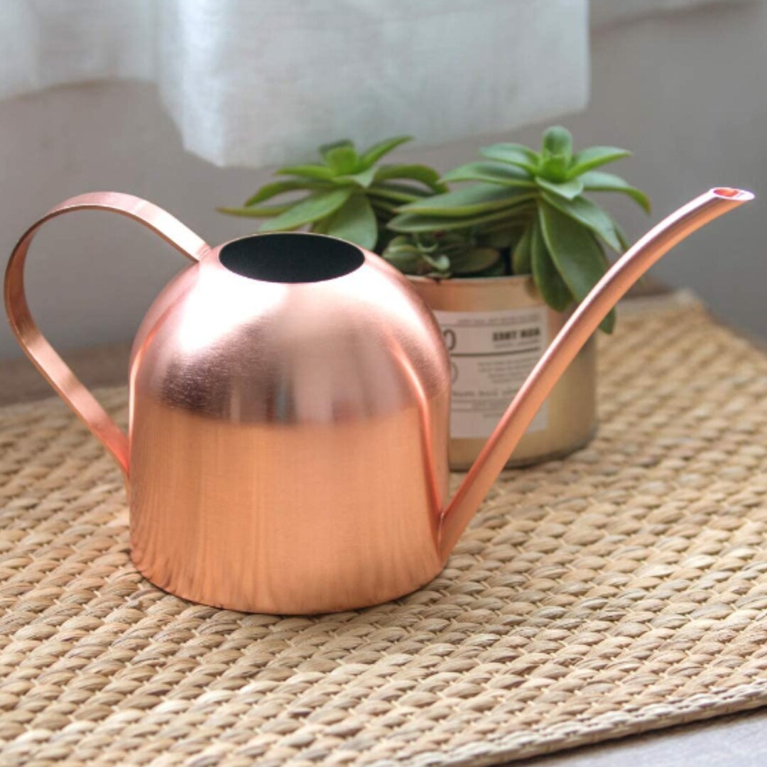 15 Oz Capacity Stainless Steel Water Can Indoor Plants and Etsy