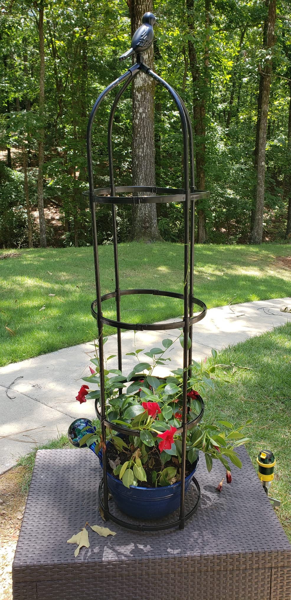 Outdoor garden trellis Etsy 日本