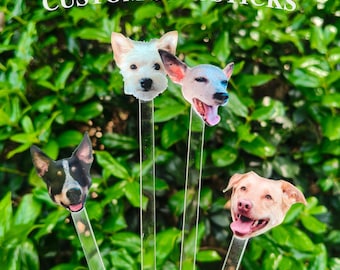 Könnte beinhalten: Individuelle Rührstäbchen mit Hunde-Gesichtern. Die transparenten Stäbe zeigen verschiedene Hunderassen, darunter einen weißen Terrier, einen Chihuahua und einen hellbraunen Hund. Der Text "CUSTOM STIR STICKS" ist oben im Bild zu sehen.