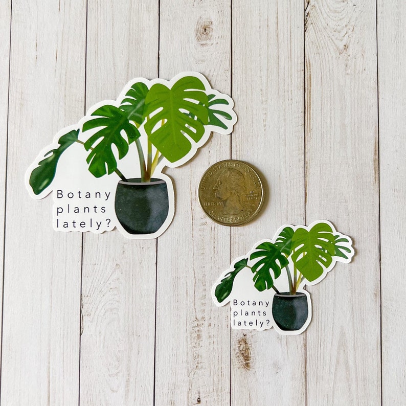 Botany Plants Lately Plant Sticker, Monstera Plant - Etsy