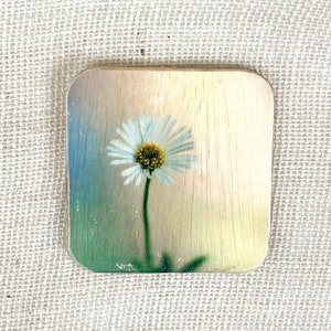 Santa Barbara Daisy Coaster, Daisy Coaster, Flower Coaster, Flower art, Drinkware, Barware, Kitchen decor, Home decor