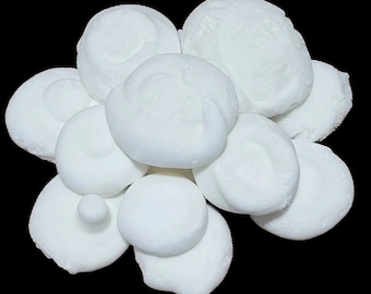 Freeze Dried Yogurt - Vanilla