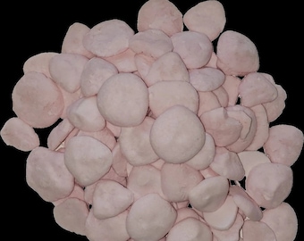 4oz Freeze Dried Yogurt - Strawberry Banana