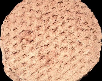 Freeze Dried Beef Patties