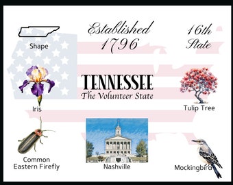 Tennessee Postcard Digital Download - Postcard Front Design - For printing your own postcards - The Writerie Design