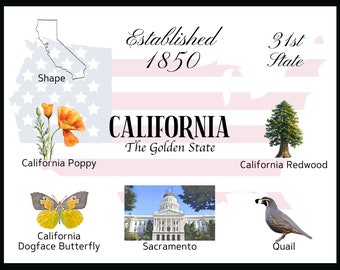 California Postcard Digital Download - Postcard Front Design - For printing your own postcards - The Writerie Design