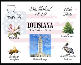 Louisiana ansichtkaart digitale download - ansichtkaart frontontwerp - voor het afdrukken van uw eigen ansichtkaarten - het Writerie-ontwerp