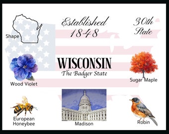 Download digitale cartolina Wisconsin - Design frontale cartolina - Per stampare le tue cartoline - The Writerie Design