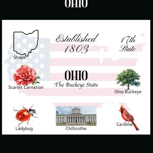 Ohio Postkarte Digitaler Download - Postkarten Design - Zum Ausdrucken Deiner eigenen Postkarten - The Writerie Design