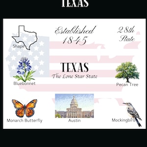 Download digitale Texas Postcard - Design frontale cartolina - Per stampare le tue cartoline - The Writerie Design
