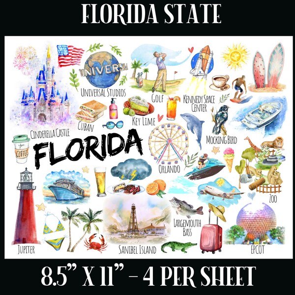 Florida Postcard - Etsy