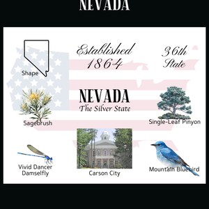 Descarga digital de postales de Nevada - Diseño frontal de postales - Para imprimir sus propias postales - The Writerie Design