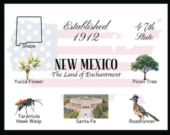 New Mexico Ansichtkaart Digitale Download - Ansichtkaart Front Design - Voor het afdrukken van uw eigen ansichtkaarten - Het Writerie Design