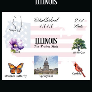 Download digitale di cartoline dell'Illinois - Design frontale cartolina - Per stampare le tue cartoline - The Writerie Design