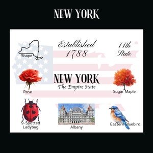 Download digitale di cartoline di New York - Design frontale cartolina - Per stampare le tue cartoline - The Writerie Design