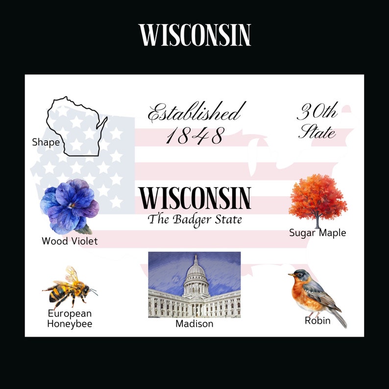 Download digitale cartolina Wisconsin Design frontale cartolina Per stampare le tue cartoline The Writerie Design immagine 1