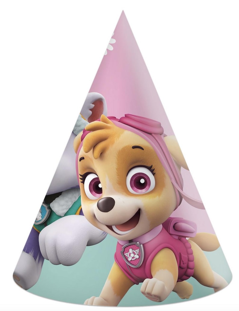 May include: A party hat featuring the character Skye from Paw Patrol. The hat is primarily pink with a light pink background and a cartoon image of Skye in a pink outfit. The hat is cone-shaped and designed for a birthday celebration.