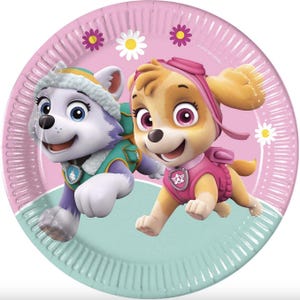 May include: Round paper plate featuring two cartoon characters from the Paw Patrol series. The plate has a pink and teal color scheme with daisy and flower accents. The characters are Skye and Everest, both smiling.