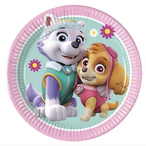 May include: A round paper plate featuring two cartoon characters from the Paw Patrol series. The plate has a pink rim and a light blue center with the characters Everest and Skye. The plate is decorated with flowers.