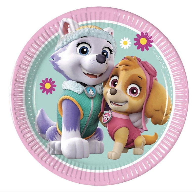 May include: A round paper plate featuring two cartoon characters from the Paw Patrol series. The plate has a pink rim and a light blue center with the characters Everest and Skye. The plate is decorated with flowers.